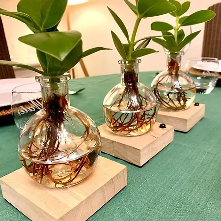 Apartment Residentie Rapallo With Fantastic Sea View! Ostende