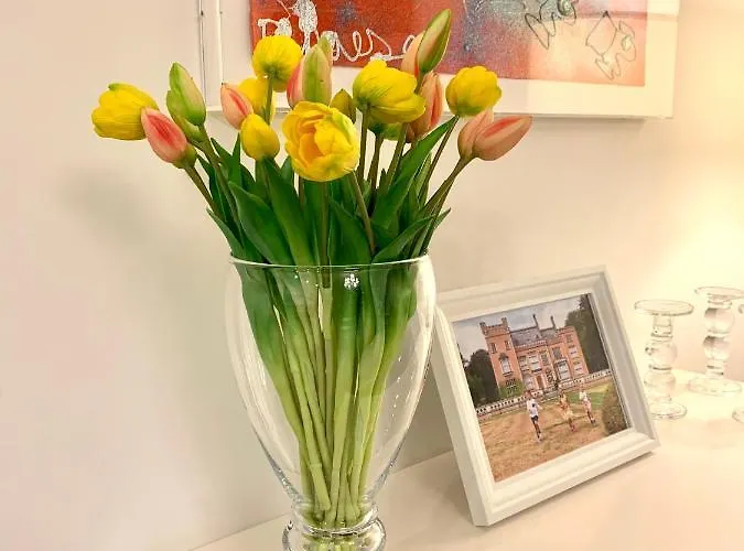 Residentie Rapallo With Fantastic Sea View! * Oostende